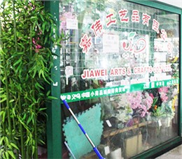 嘉伟仿真植物店面展示（一）