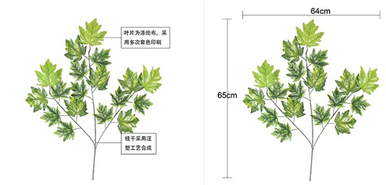 香山枫
