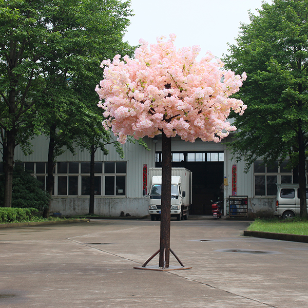 3米单杆樱花