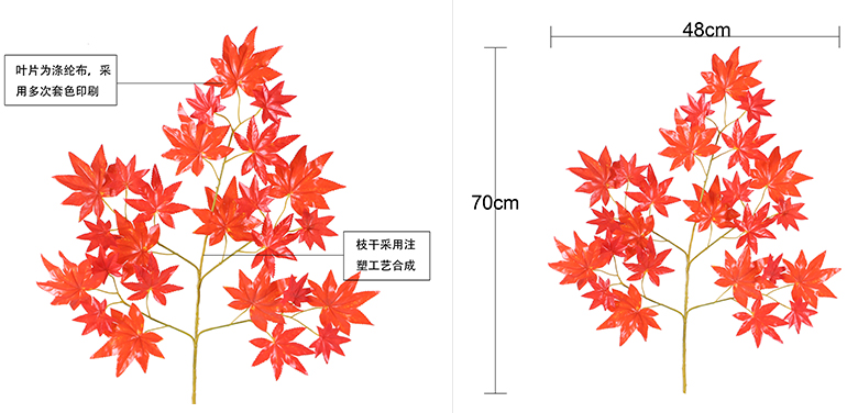 红枫