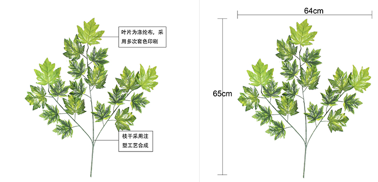 香山枫