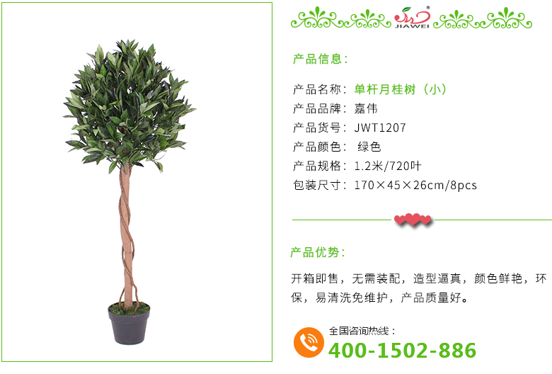 单杆月桂